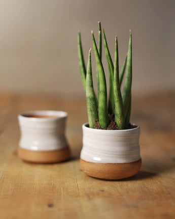 Small Planter Pot | White