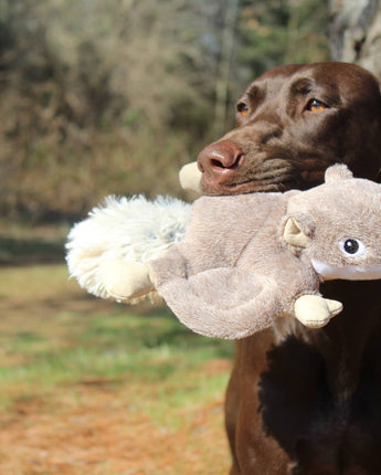 Plush Flying Squirrel Dog Toy | 12"