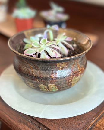 Milky Quartz Plant Tray