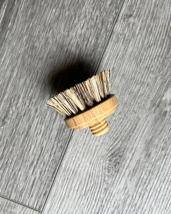 Bamboo and Coconut Dish Brush | Replacement Head