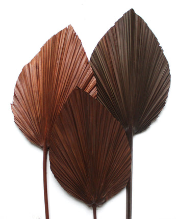 Cognac Palm Fronds | 40"